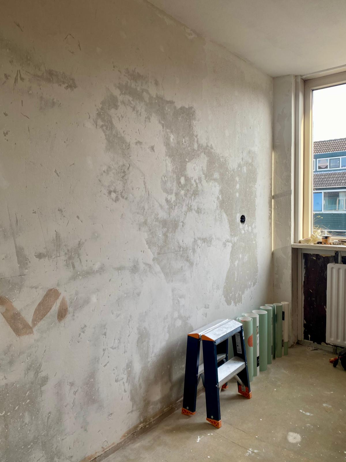 Project van Lilli Schilderwerken 20